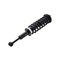 Fcs Struts Suspension Strut And Coil Spring Assembly 2345558L - alternate 4