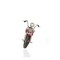 Homeroots Red Harley Davidson Motorcycle Sculpture 401173 - alternate 5