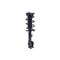 Fcs Struts Suspension Strut And Coil Spring Assembly 1334416R - alternate 3