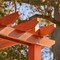 Cabot Semi-Solid Low VOC Semi-Solid Cordovan Brown Oil-Based Deck and Siding Stain 1 gal  140.0017437.007 - alternate 5
