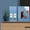 Acrimet Magazine File Holder Vertical Rack, Durable Plastic Desk Organizer, Solid Blue, 2PK 277.AO - alternate 3