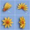 Teacher Created Resources Wildflowers Paper Flowers, 4-Piece Set 8350 - alternate 2