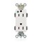 Leviton Straight Blade Receptacle, 5-15R, 15 A, 125V AC, Flush Mount, Self-Grounded M1626-PLW - alternate 1