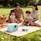 Cea 600W Portable Power Station, Green, 384Wh LiFePO4, 4000+ Cycles, UPS, Fast Charge, Outdoor Backup 805972 - alternate 5