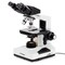 Amscope 40X to 2000X Binocular LED Compound Microscope, 5MP Digital Eyepiece B490B-LED-E5 - alternate 1