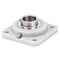 Edt FLANGEANGED BLOCK BALL BEARING 4Y4GF-038-40MGX - alternate 2