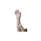Ambitex Large Clear Vinyl Disposable Powder-Free Exam Gloves, 100PK VLG200 - alternate 2