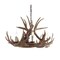Jonathan Y Nelle 28.5" Adjustable Resin Antler 6-Light Chandelier, Brown JYL6302A - alternate 1