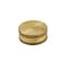 Proline Series Brass 3/4-in FHT Hose Cap GH-685B - alternate 1