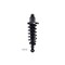 Fcs Struts Suspension Strut And Coil Spring Assembly 3355016R - alternate 1