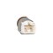 T Series Standard Motor Products, Stoplight Switch,  SLS361T - alternate 6