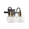 Jonathan Y Marais 14.5" 2-Light Iron/Glass Rustic Vintage LED Vanity Light, Black/Brass Gold JYL3527A - alternate 7