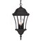 Homeroots Three Light Matte Black Carousel Lantern Hanging Light 397995 - alternate 1