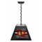 Holland Bar Stool Chicago Blackhawks Pendant Box Light BxLM1 - alternate 1