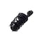 Fcs Struts Suspension Strut And Coil Spring Assembly 1332315 - alternate 2