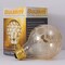 Bulbrite 40W Globe G25 Incandescent Bulbs, Amber Marble Glass, Medium E26 Screw Base, 6PK 861324 - alternate 2