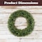 Pure Garden 24 in Large Boxwood Wreath for Front Door All-Season Artificial Boxwood Wreath 50-150-24 - alternate 2