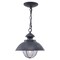 Vaxcel Harwich 1 Light Gray Coastal Outdoor Barn Dome Pendant Clear Glass T0265 - alternate 1