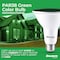 Bulbrite 90-W Equivalent, Green Color PAR38 Weatherproof Outdoor E26 Medium Base Flood LED Light Bulb COLOR 861909 - alternate 3