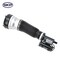 Skyward Automotive Products Suspension Strut Assembly,  SKAS037 - alternate 1