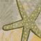 Homeroots 6' Green And Yellow Starfish Indoor Outdoor Runner Rug 548027 - alternate 6