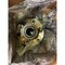 Cnh PLANETARY, CNH OEM 90-7838T91 90-7838T91 - alternate 3