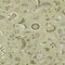 Homeroots 8' X 10' Artichoke Green Gray And Brown Floral Washable Indoor Outdoor Area Rug 597791 - alternate 5