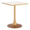 Homeroots 24" Beige and Gold Wood and Steel Pedestal Base Square Dining Table 572239 - alternate 4