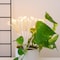 Elegani 80 LED Dandelion String Light  Bendable Silver Copper Flower Fairy Light for Vase, Decor & Events PH-5132 - alternate 2