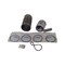 Cnh KIT PISTON & RINGS, CNH OEM 3044479R94GV 3044479R94GV - alternate 2