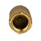 Water Source CCC-100NL Check Valve, 1 in, Brass Body CC100-NL - alternate 6