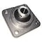 Edt FLANGEANGED BLOCK BEARING QF4AD7-1-1/4 - alternate 2