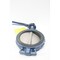 Naqip MANUAL IRON WAFER BUTTERFLY VALVE 10IN 250 N200WSSE - alternate 5