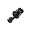 Fcs Struts Suspension Strut And Coil Spring Assembly 1333942R - alternate 2