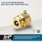 Everflow FIPxMHT Hose Bib Vacuum Breaker Backflow Preventor 3/4 ft' VB3400-NL - alternate 2