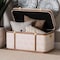 Baxton Studio Brenner Modern Transitional Beige Faux Shagreen Storage Trunk 253-14071-ZORO - alternate 4