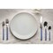Mepra Fantasia Flatware Set - 20 Pieces - Lavender 10D722020 - alternate 5