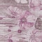 Homeroots 3' X 5' Plum Mauve And Pink Floral Washable Indoor Outdoor Area Rug 582758 - alternate 5