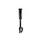 Fcs Struts Suspension Strut And Coil Spring Assembly 1355181 - alternate 3