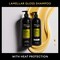 Tresemm Tresemme Lamellar Gloss Shampoo for Sleek Hair, 28 Fluid Ounce, 3PK 64379129 - alternate 5