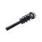 Fcs Struts Suspension Strut And Coil Spring Assembly 2337073 - alternate 4
