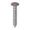 Auveco 6 x 3/4in Tan Painted Square Drive Pan Head Tapping Screw, 100PK 25359 - alternate 1