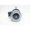Newport AC MOTOR 56C 3/4HP 1760RPM 230/460V-AC 3PH F56C3/4M4A-Z - alternate 2