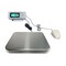 Tree Tree PIZA 12 LB Bench Food Scale, 12 LB X 0.002 LB, NSF Certified PIZA 12 - alternate 2