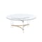 Homeroots 41" Clear and Gold Glass Acrylic and Brass Round Coffee Table 572210 - alternate 4