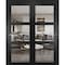 Sartodoors Sliding Closet Bypass Doors, Lucia 2555 Matte Black with Clear Glass, Sturdy Rails Moldings Trims LUCIA2555DBD-BLK-36 - alternate 1