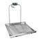Tree Wheelchair Scale, 1,000 lb x 0.2 lb LWC 1000 - alternate 3