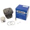 Stens Cylinder Assembly For Husqvarna 372 X-Torq Chainsaws 575255702, 575255701 632-836 - alternate 1