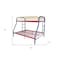 Homeroots 78" X 54" X 60" Twin Over Full Rainbow Metal Tube Bunk Bed 286577 - alternate 2