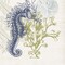 Homeroots Set Of Four Coastal Sea Creatures White Framed Print Wall Art, 4PK 527015 - alternate 4